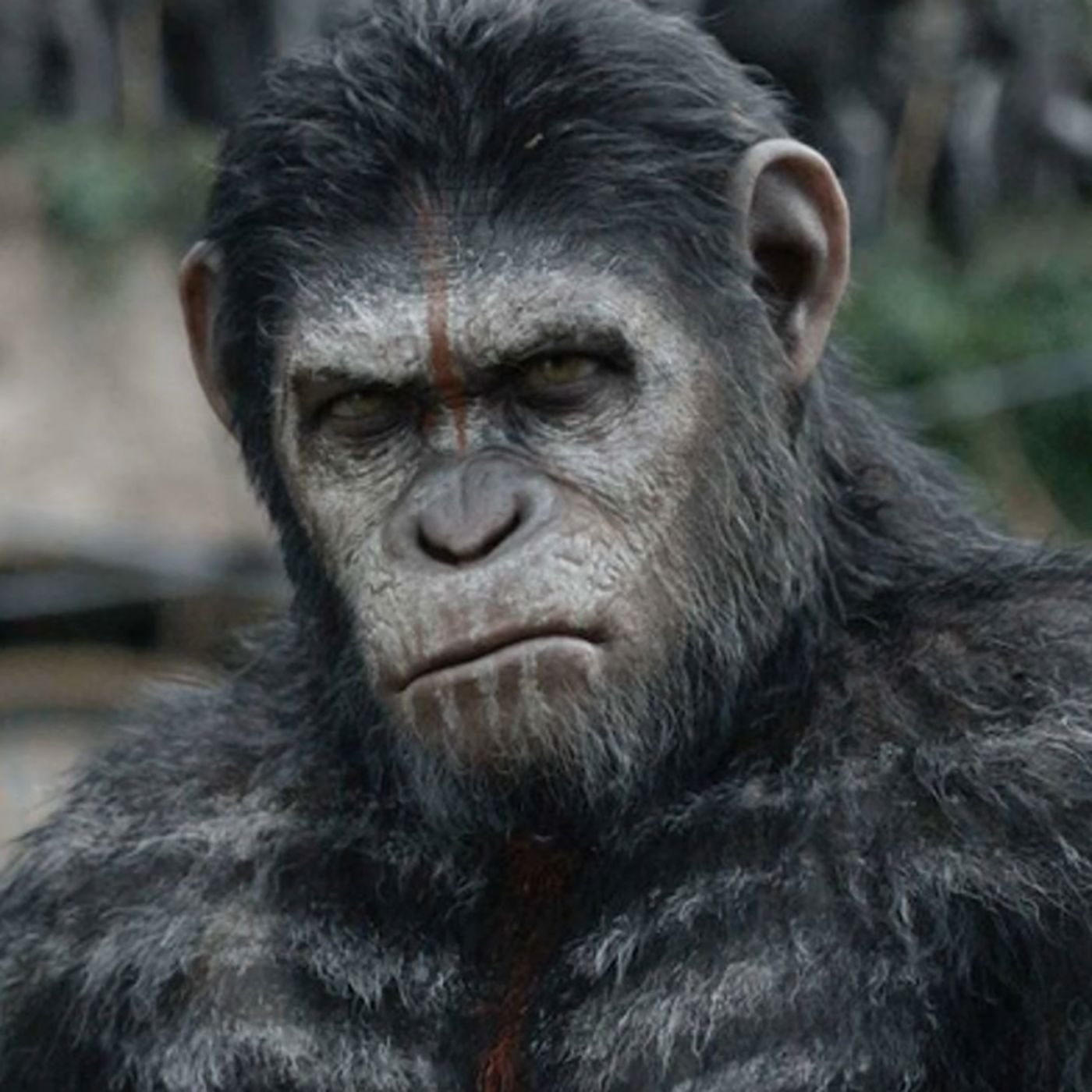 039 Moviekompott - Affen und Menschen